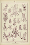 Monogrammy Pl.18