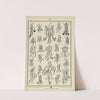 Monogrammy Pl.19 by A. Litke