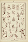 Monogrammy Pl.34
