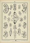 Monogrammy Pl.37