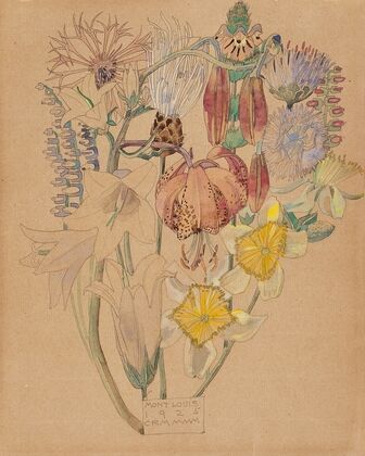 Mont Louis – Flower Study