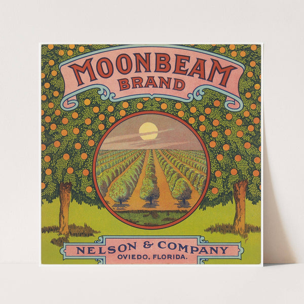 Moonbeam Brand Citrus Label (1930s)