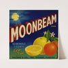 Moonbeam Brand Citrus Label (1940s)