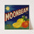 Moonbeam Brand Citrus Label (1940s)