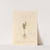 Moonwort by Elizabeth Blackwell