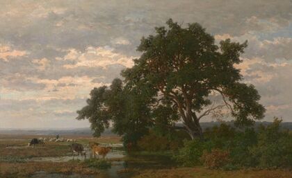 Moorland Landscape