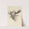 Moose Head (1903) by Frank Tenney Johnson