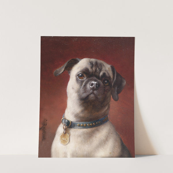 Mops by Carl Reichert