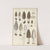 Morchella conica persoon (1915-1945) by Hans Walty