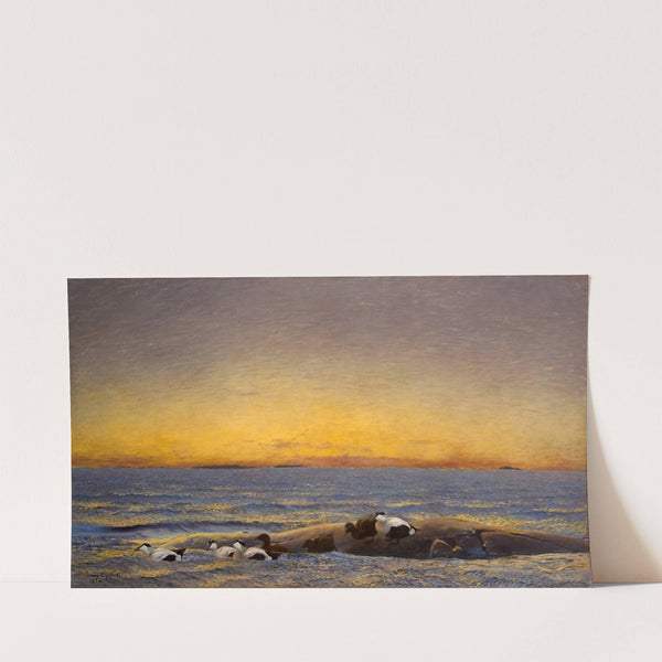 Morning Mood by the Sea (1896) by Bruno Liljefors