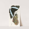 Morpho Helenor by James Duncan