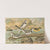 Motacilla alba, Motacilla boarula by Johann Friedrich Naumann
