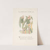Mother Earth’s children; the frolics of the fruits and vegetables Pl.16 (1914) by Marion T. Ross