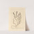 Mother of thyme by Elizabeth Blackwell