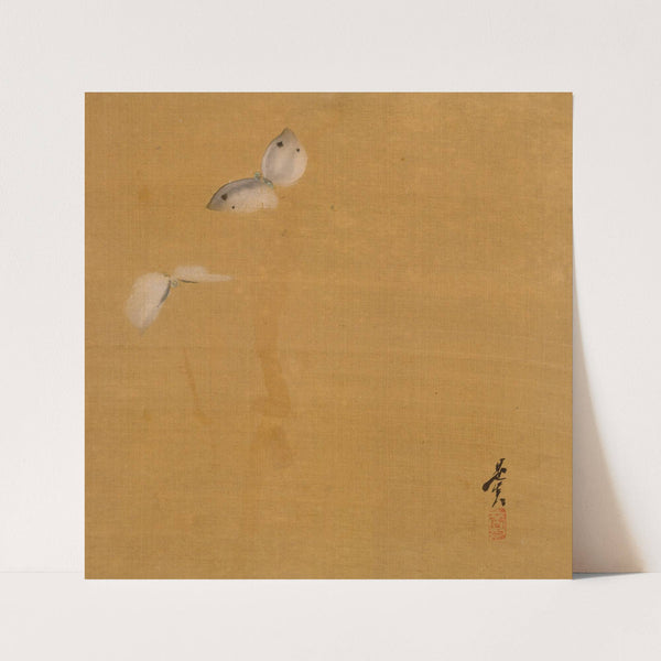 Moths (1847) by Shibata Zeshin