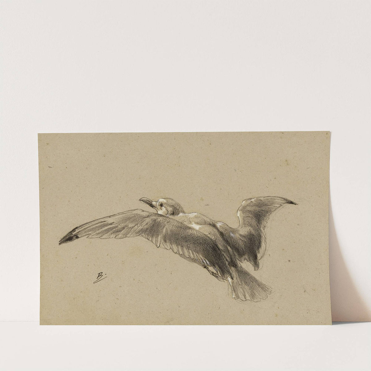 Mouettes (19th century) by Félix Bracquemond
