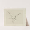Mouettes &#8211; dessin pour le cul-de-lampe du chapitre 4 &#8211; Inclination naissante (1920-1921) by Achille Granchi-Taylor