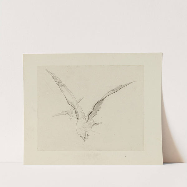 Mouettes &#8211; dessin pour le cul-de-lampe du chapitre 4 &#8211; Inclination naissante (1920-1921) by Achille Granchi-Taylor
