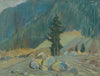 Mountain Brook between Boulders