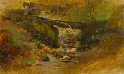 Mountain Creek