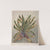 Mountain daisy by Sarah Featon