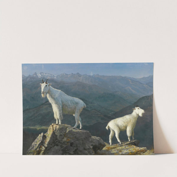 Mountain goats by Albert Bierstadt