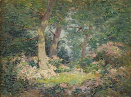 Mountain Laurel