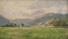 Mountain Meadow