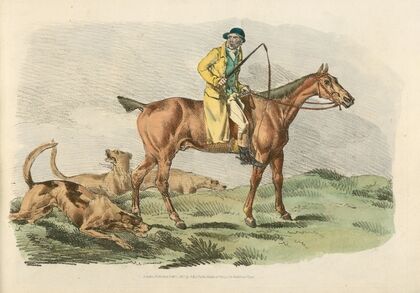 Mounted hunter with three hounds running behind