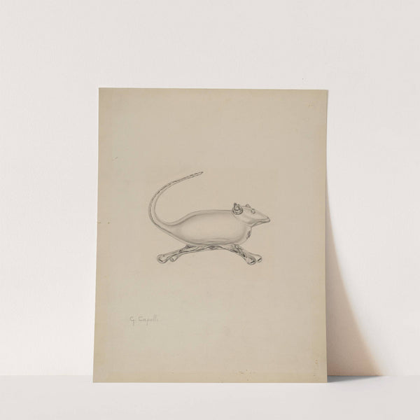 Mouse by Giacinto Capelli