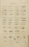 Mouths – proportions