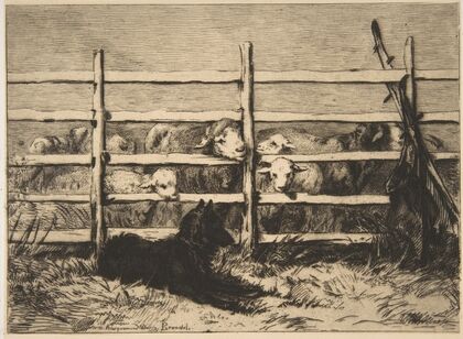 Moutons parqués (1856)
