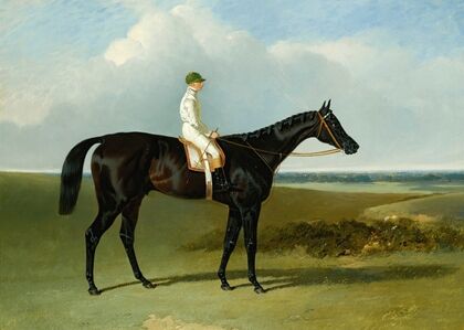 Mr O’Brien’S Dark Bay Racehorse Jonathan Wild With Jockey T. Ryder Up — size preview