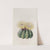Mr. Otto&#039;s Spiny Cactus by Sydenham Edwards