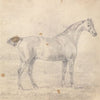 Mr. Plumer’s Horse