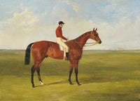Mr S. Wrather’s ‘Nutwith’ with J. Marson up, winner of the St Leger