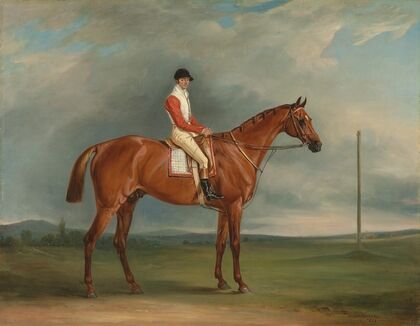 Mr Sadler’s Dangerous, a chestnut racehorse with Chapple up