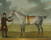 Mr. Thomas Panton’s Crab, A Grey Racehorse, Being Held By A Groom On Newmarket Heath