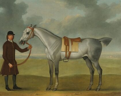 Mr. Thomas Panton’s Crab, A Grey Racehorse, Being Held By A Groom On Newmarket Heath
