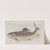 Mullet (1889) by Allen &amp; Ginter