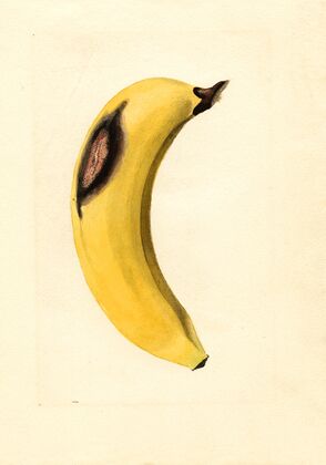 Musa