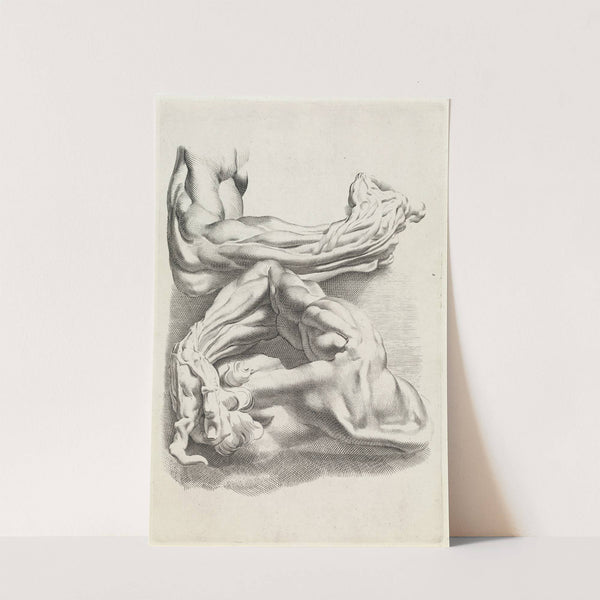 Muscles by Peter Paul Rubens