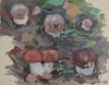 Mushrooms