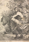 Musidora