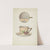Mustache Cup and Saucer by Dana Bartlett