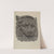 Muzzle of a Lion (one of pair) by Maurice Van Felix