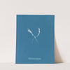 Myriotrichia claviformis (1843-1853) by Anna Atkins
