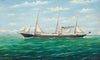 N.Z.G. S.S. Hinemoa off the Kaikouras, NZ