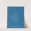 Naccaria Wigghii (1843-1853) by Anna Atkins