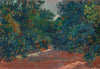 Naranjos De Alcira (Orange Trees In Alcira)